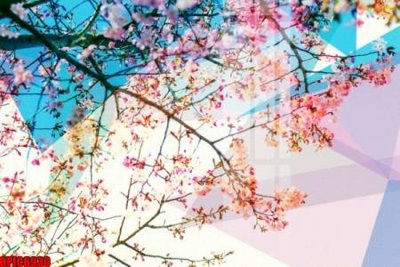 File tranh file tranh bộ decor in treo tường tráng gương OPIC6930 (ảnh gốc) in trần xuyên sáng