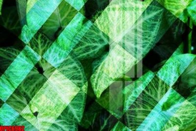 File in ấn chuyên nghiệp file tranh bộ decor in treo tường tráng gương OPIC6982 (file gốc)