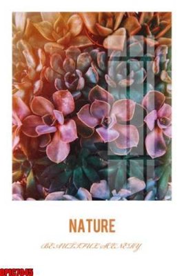 Tải file file tranh bộ decor in treo tường tráng gương OPIC7045 (ảnh gốc) in gạch men