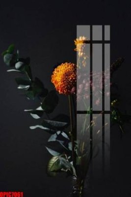 File in lụa file tranh bộ decor in treo tường tráng gương OPIC7061 (hoa văn) file tranh bộ decor in treo tường tráng gương OPIC7061