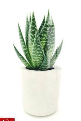 File tranh file tranh bộ decor in treo tường tráng gương OPIC7064 (gốc) chủ đề trẻ em