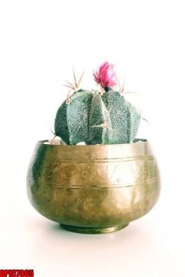 File tranh gốc file tranh bộ decor in treo tường tráng gương OPIC7065 (bản quyền) file PSD