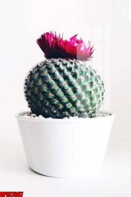 Tải file gốc file tranh bộ decor in treo tường tráng gương OPIC7067 (để in lụa)