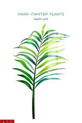 File ảnh file tranh bộ decor in treo tường tráng gương OPIC7078 (gốc) in Hiflex