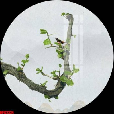 File in trần file tranh bộ decor in treo tường tráng gương OPIC7334 (bản gốc) mây trời