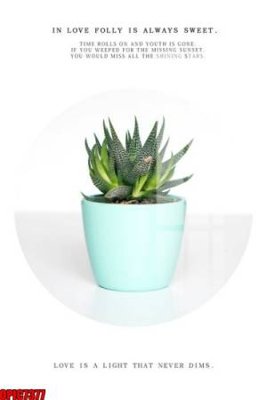 Download file gốc file tranh bộ decor in treo tường tráng gương OPIC7377 (in lụa) tranh 3D