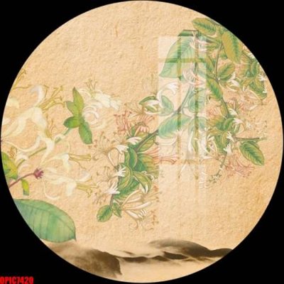 File tranh gốc file tranh bộ decor in treo tường tráng gương OPIC7420 chủ đề hiện đại