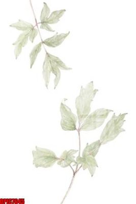 File tranh trang trí file tranh bộ decor in treo tường tráng gương OPIC7645 (file gốc)