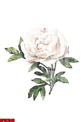 File gốc file tranh bộ decor in treo tường tráng gương OPIC7648 (cho in 3D) độc đáo