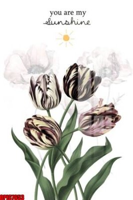 File in trần file tranh bộ decor in treo tường tráng gương OPIC7653 (bản gốc) đại dương