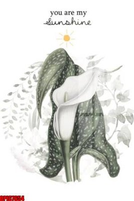 File gốc in mica file tranh bộ decor in treo tường tráng gương OPIC7654 chất lượng