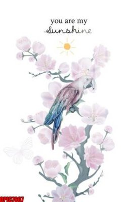 File PSD file tranh bộ decor in treo tường tráng gương OPIC7667 (bản gốc) độ phân giải cao