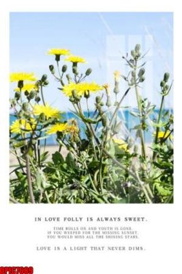 File tranh gốc file tranh bộ decor in treo tường tráng gương OPIC7689 (bản quyền) Filetranh.com