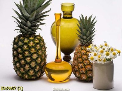 File gốc File tranh phòng ăn PA67 (in mica) cắt laser