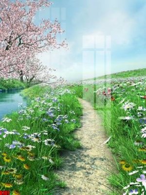 Mua file ảnh gốc file tranh in treo tường file decor tổng hợp R101 (chất lượng cao)