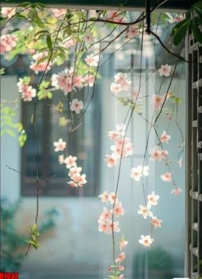 File tranh file tranh in treo tường file decor tổng hợp R1032 (gốc) in backlit film