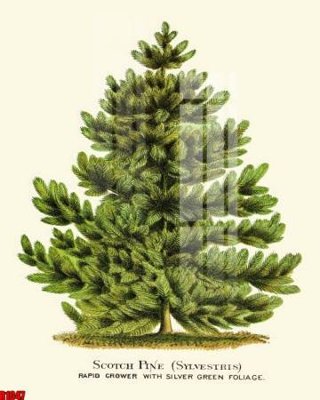 Tải file file tranh in treo tường file decor tổng hợp R1047 (gốc) làm file tranh quảng cáo