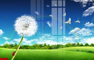 Tải file gốc file tranh in treo tường file decor tổng hợp R10833 (để in lụa)