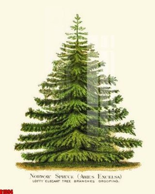 File gốc file tranh in treo tường file decor tổng hợp R1094 cho in ấn và thiết kế