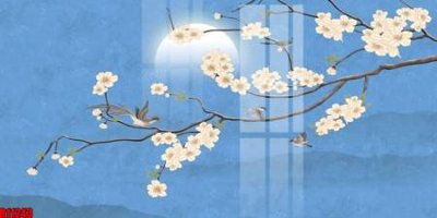 File in trần file tranh in treo tường file decor tổng hợp R11243 (file gốc) xuyên sáng