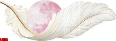 Tải file gốc file tranh in treo tường file decor tổng hợp R1558 (in khổ lớn) quảng cáo