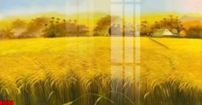 Mua file ảnh gốc file tranh in treo tường file decor tổng hợp R1594 (chất lượng cao)