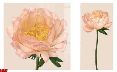 File gốc file tranh in treo tường file decor tổng hợp R1637 (in lụa) chi tiết cao