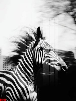 File in mica file tranh in treo tường file decor tổng hợp R1713 (bản gốc) sắc sảo