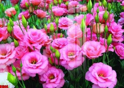 File tranh gốc file tranh in treo tường file decor tổng hợp R1844 (bản quyền) file PSD