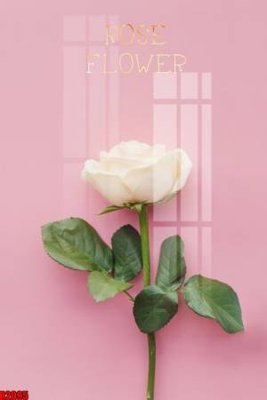 File gốc file tranh in treo tường file decor tổng hợp R2095 (in ấn) màu sắc trung thực