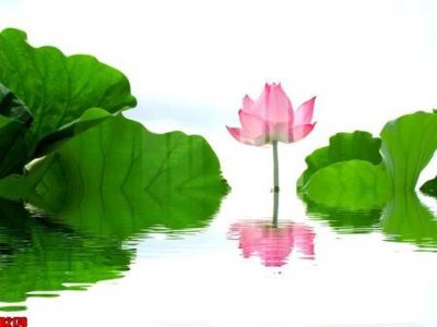 File tranh gốc PSD file tranh in treo tường file decor tổng hợp R2178 còn nguyên layer