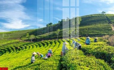 Tải file file tranh in treo tường file decor tổng hợp R2289 (gốc) làm file thiết kế