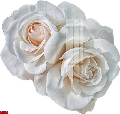 File gốc file tranh in treo tường file decor tổng hợp R2523 (in lụa) họa tiết 3D