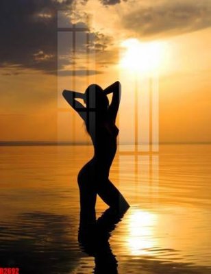 File gốc file tranh in treo tường file decor tổng hợp R2692 (in tráng gương) sang trọng