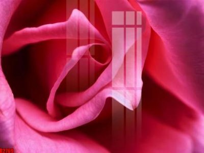 File gốc file tranh in treo tường file decor tổng hợp R2769 (in lụa) tranh thuận buồm