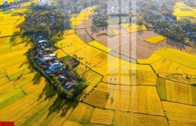 Download file file tranh in treo tường file decor tổng hợp R3000 (chuẩn in) file tranh in treo tường file decor tổng hợp R3000