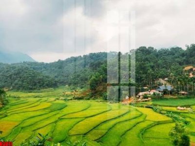 File tranh file tranh in treo tường file decor tổng hợp R3011 (bản gốc) treo quán cafe