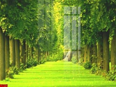 File tranh file tranh in treo tường file decor tổng hợp R3012 (bản gốc) treo tường