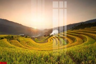 File gốc file tranh in treo tường file decor tổng hợp R3023 (cho in ấn) từ kho Filetranh