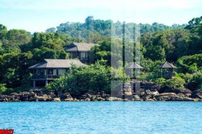 File in trần file tranh in treo tường file decor tổng hợp R3027 (bản gốc) hoa văn