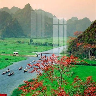 File tranh in trần 3D file tranh in treo tường file decor tổng hợp R3035 (ảnh gốc)