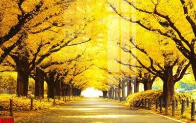 Tải file file tranh in treo tường file decor tổng hợp R3046 (gốc) làm file tranh quảng cáo