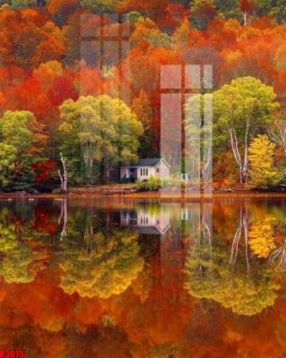 File gốc file tranh in treo tường file decor tổng hợp R3075 (in ấn) màu sắc trung thực