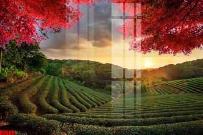 File tranh file tranh in treo tường file decor tổng hợp R3088 (gốc) chủ đề động vật