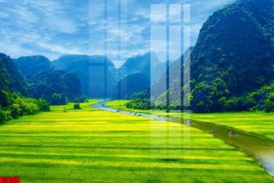 File gốc file tranh in treo tường file decor tổng hợp R3089 (cho in ấn) từ Filetranh.com