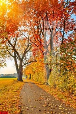 Tải file file tranh in treo tường file decor tổng hợp R3094 (gốc) làm tranh trang trí