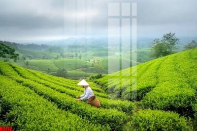 File gốc file tranh in treo tường file decor tổng hợp R3112 (thiết kế) độc quyền