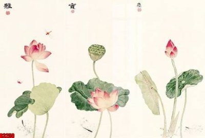 File gốc file tranh in treo tường file decor tổng hợp R3250 (PNG) nền trong suốt