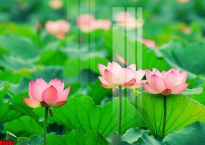 Tải file file tranh in treo tường file decor tổng hợp R3567 (ảnh gốc) file AI/EPS