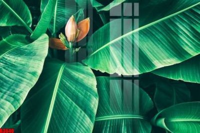 File gốc file tranh in treo tường file decor tổng hợp R3640 (in lụa) tranh phong thủy